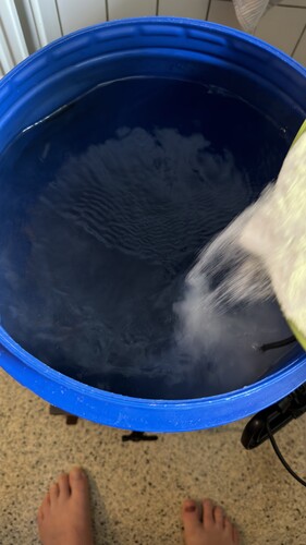 IMG_2205.jpeg