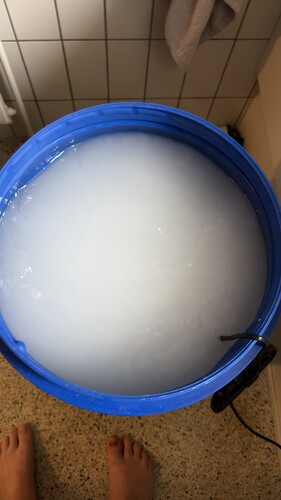 IMG_2206.jpeg
