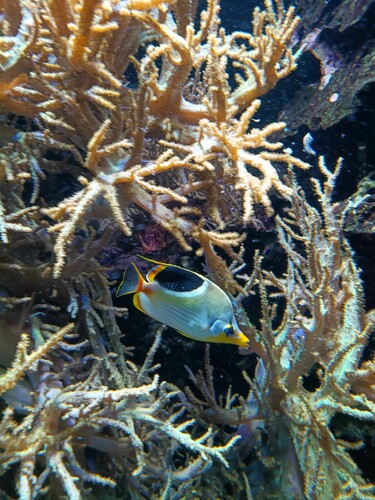 IMG_20260702_112412474_HDR.jpeg