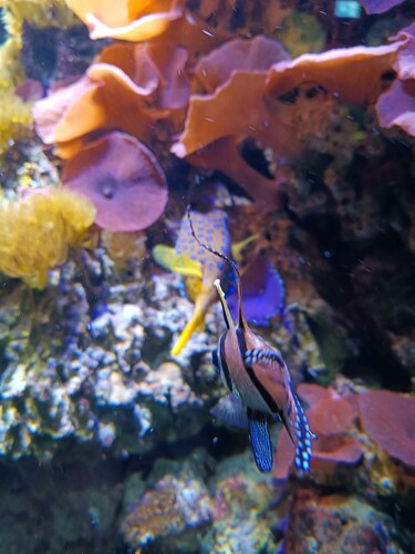 IMG_20260702_112804475.jpeg