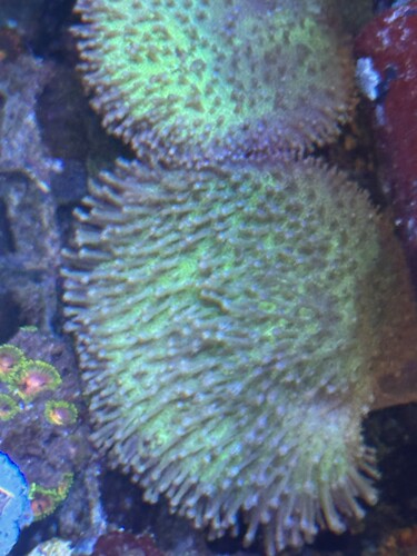 IMG_1195.jpeg