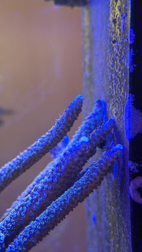 IMG_2234.jpeg