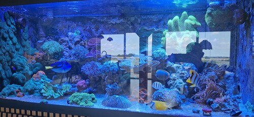 20260712_145953.jpg