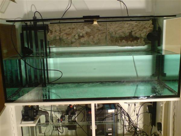 DSC00058 (Medium) (Custom).JPG