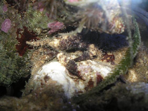 P8170140m.JPG