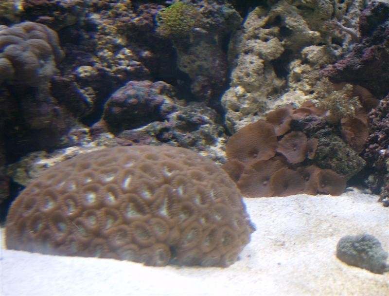 HPIM0319 (Medium).JPG