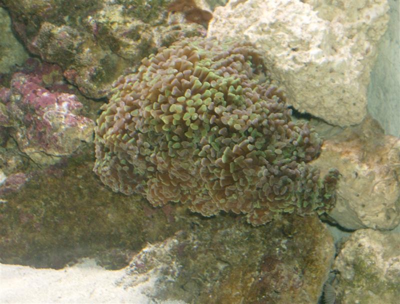 HPIM0302 (Medium).JPG