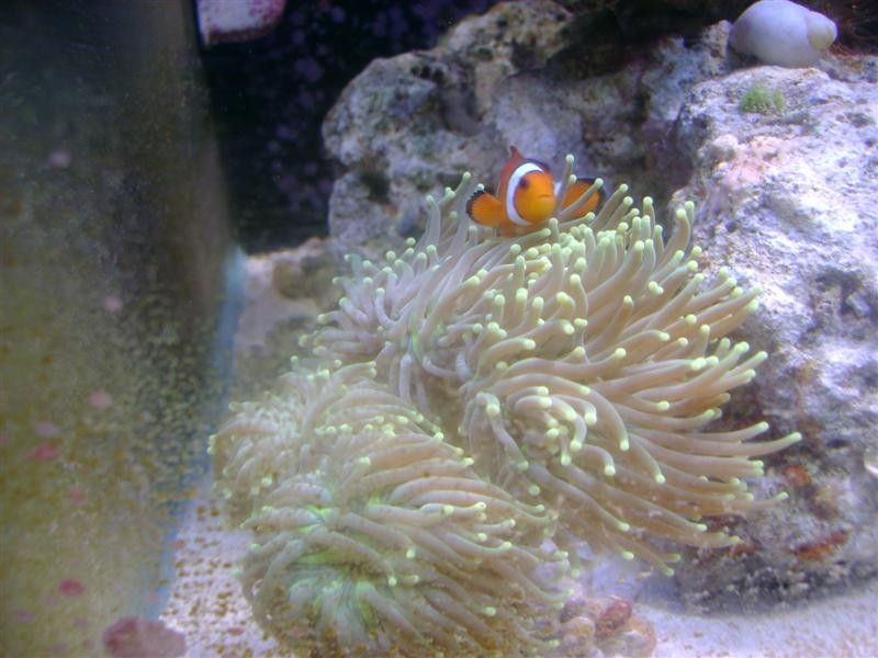 DSC01650 (Medium).JPG
