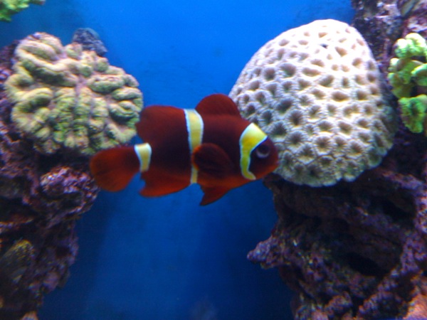 scaled.IMG_0092.JPG