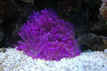 SG1L9537.jpg