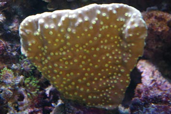 SG1L9541.jpg
