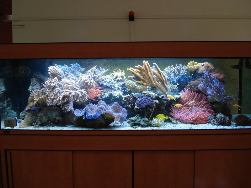 DSC01485-2.JPG