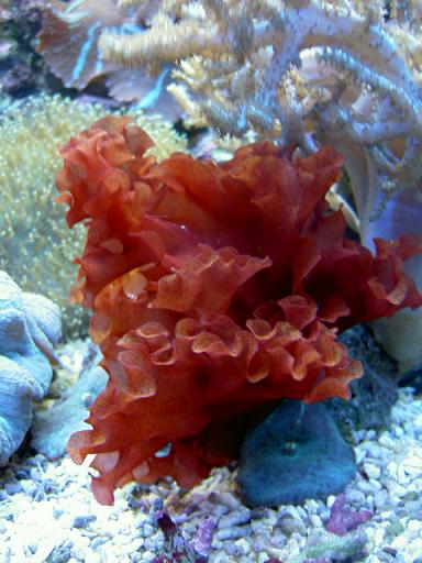 PICT0409.JPG