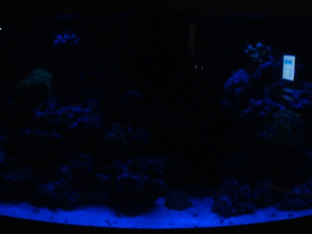 DSC01352.JPG