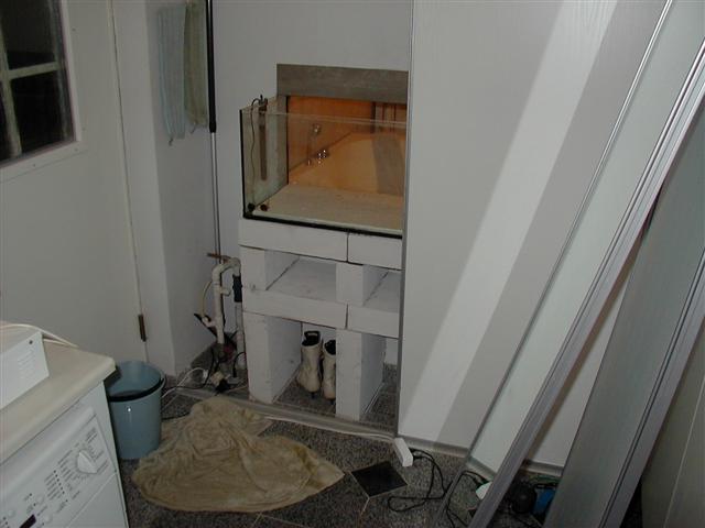 P1010003 (Small).JPG