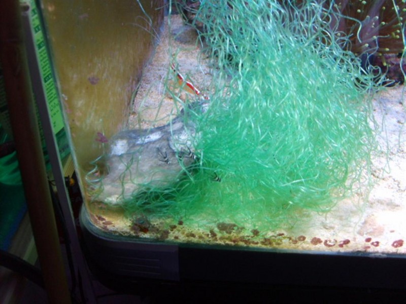 S5000836 (Large).JPG