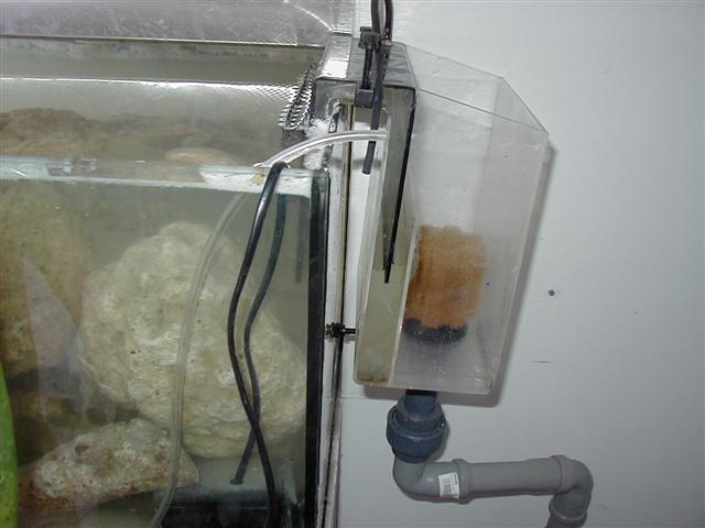 P1010019 (Small).JPG