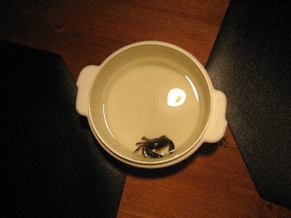 kr1.jpg