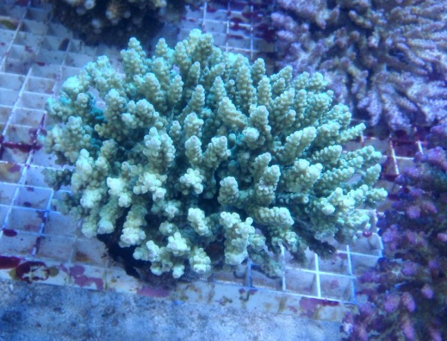 P9180023.JPG