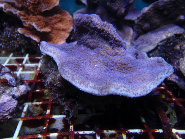 P9180065.JPG