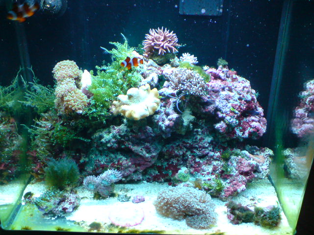 rsm 005.JPG