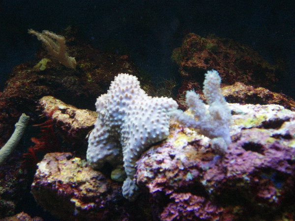 test0020.jpg