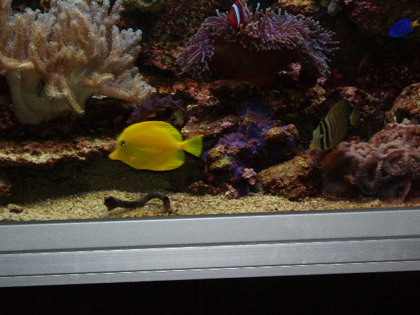 test0013.jpg