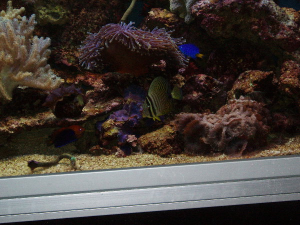 test0011.jpg