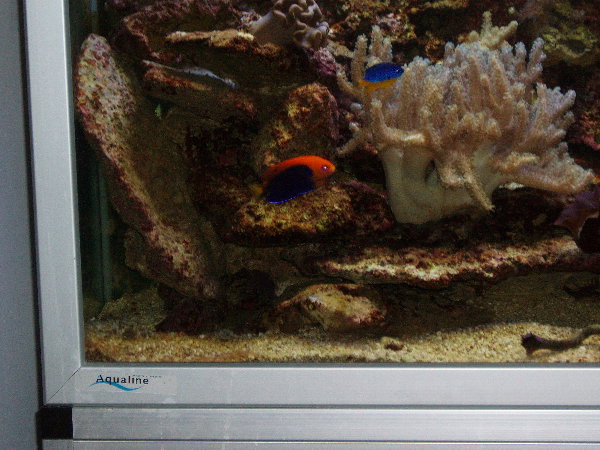 test0010.jpg