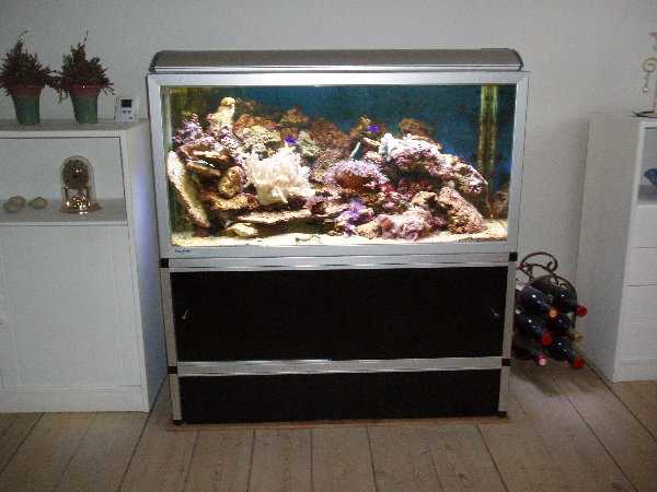 test0009.jpg