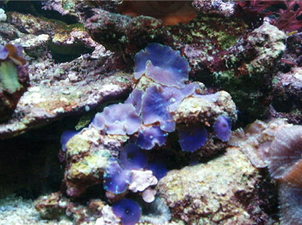 test0002.jpg