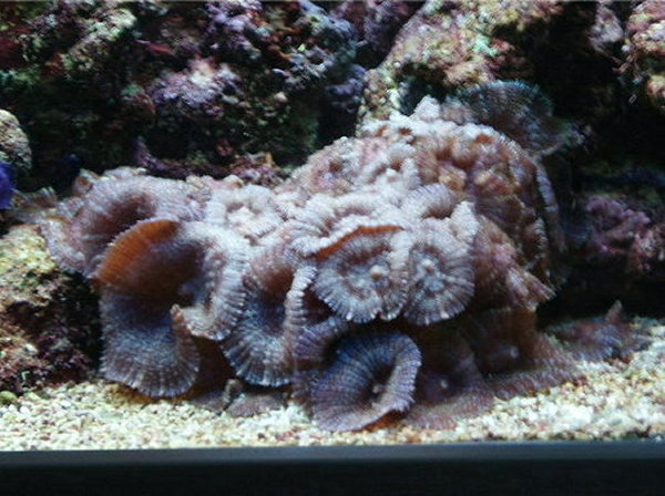test0001.jpg