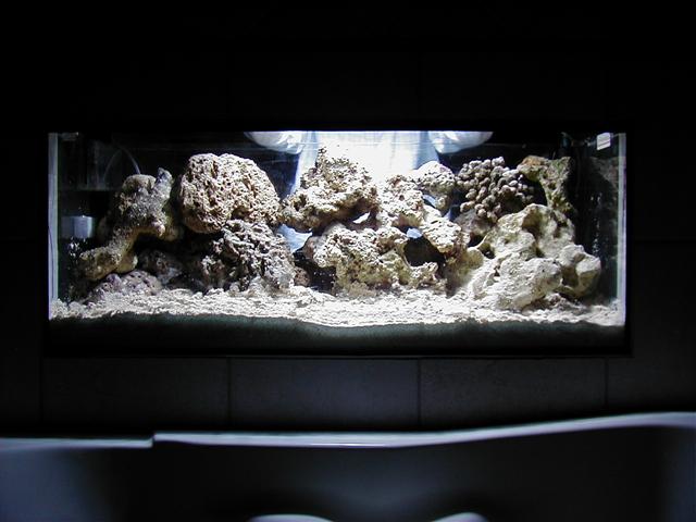 P1010013 (Small).JPG