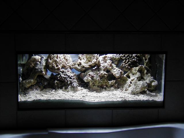 P1010012 (Small).JPG