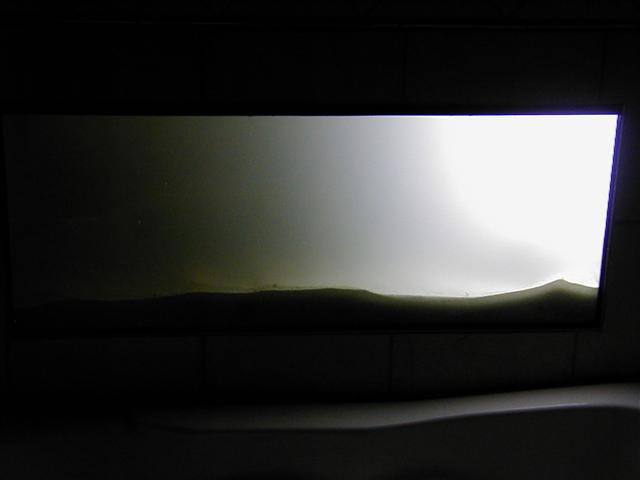 P1010018 (Small).JPG