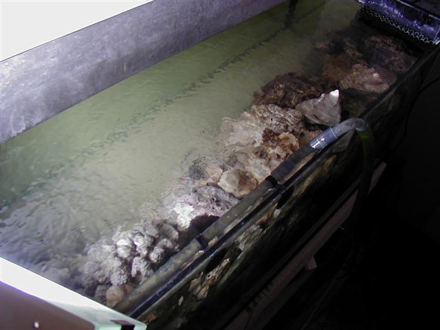P1010025 (Small).JPG
