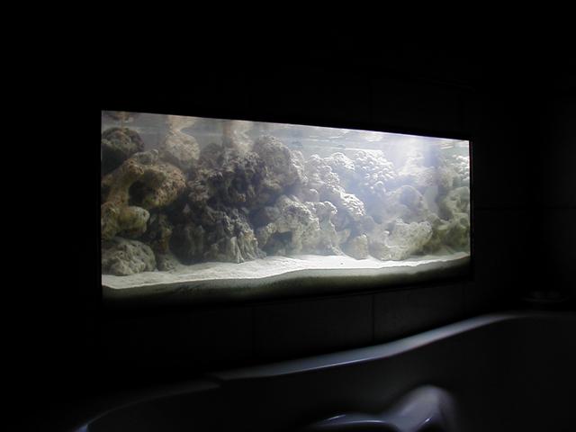 P1010022 (Small).JPG