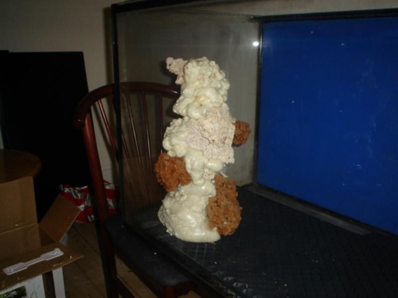 DSC04294 (Medium).JPG