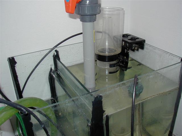 P1010026 (Small).JPG
