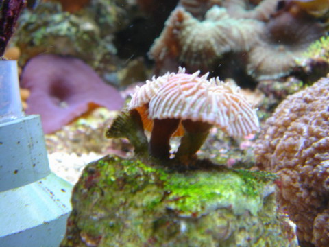 DSC01080_resize.JPG