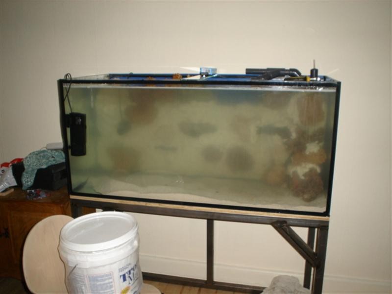 DSC04307 (Medium).JPG