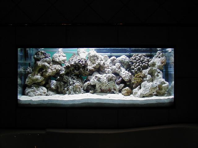 P1010028 (Small).JPG