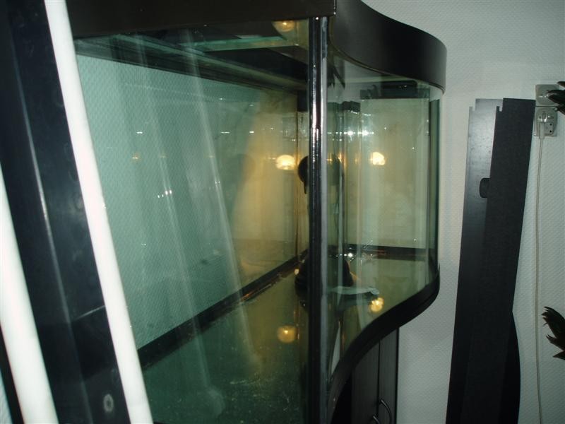 P1010118 (Medium).JPG