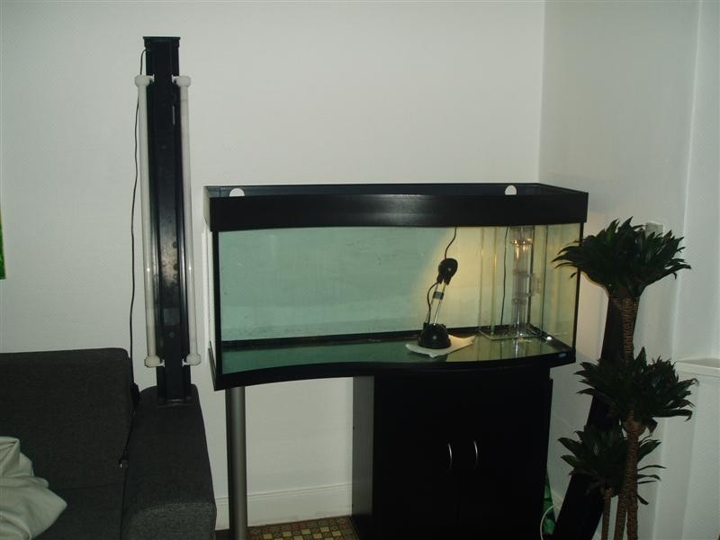 P1010119 (Medium).JPG