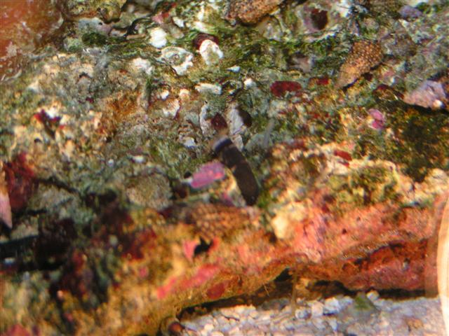 PICT0104 (Small).JPG