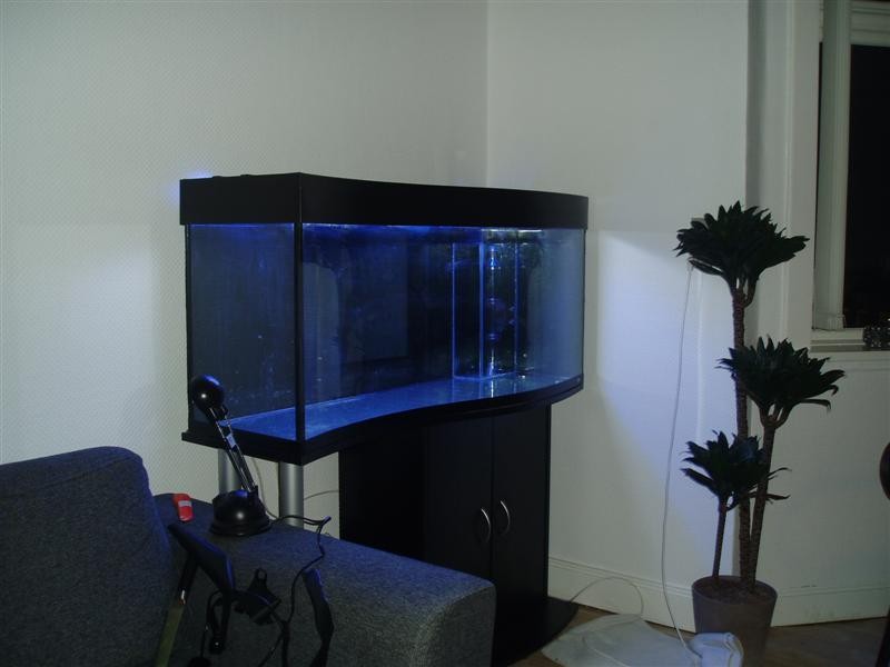 P1010127 (Medium).JPG