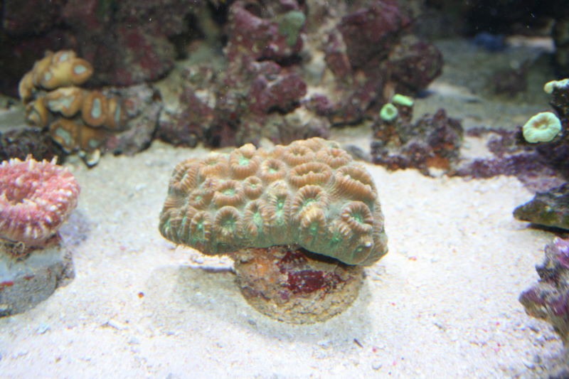 IMG_1658.jpg