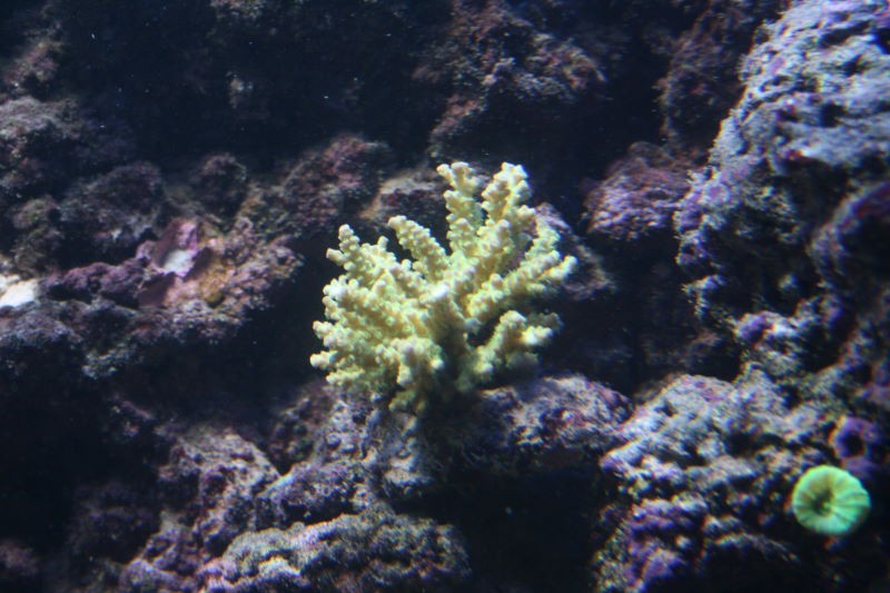 IMG_1662.jpg