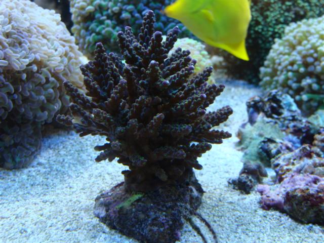 DSC00615 (Small).JPG