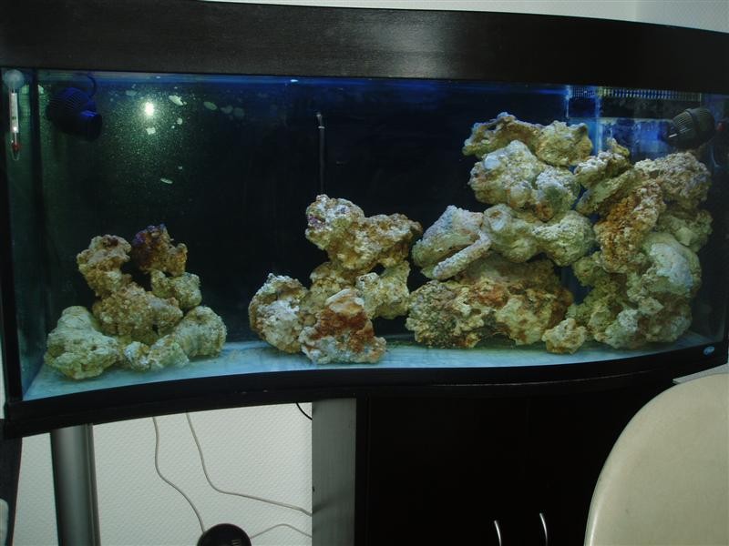 P1010137 (Medium).JPG